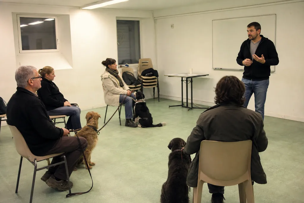 Petit groupe d'adultes en formation canine, chacun tenant son chien en laisse face à un formateur